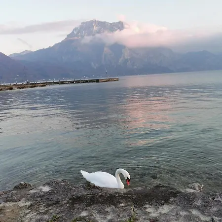 Traunsee Panorama, Am Traunsee Altmuenster